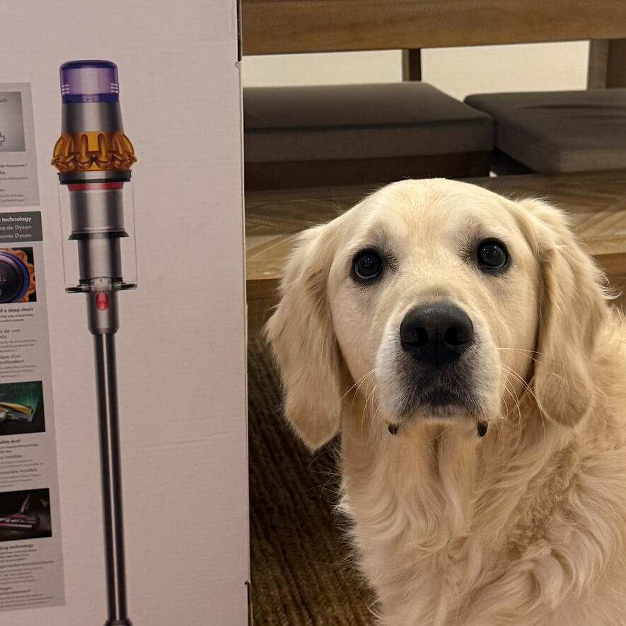 Dog Parent Must Haves Vacuums, Rollers, etc.