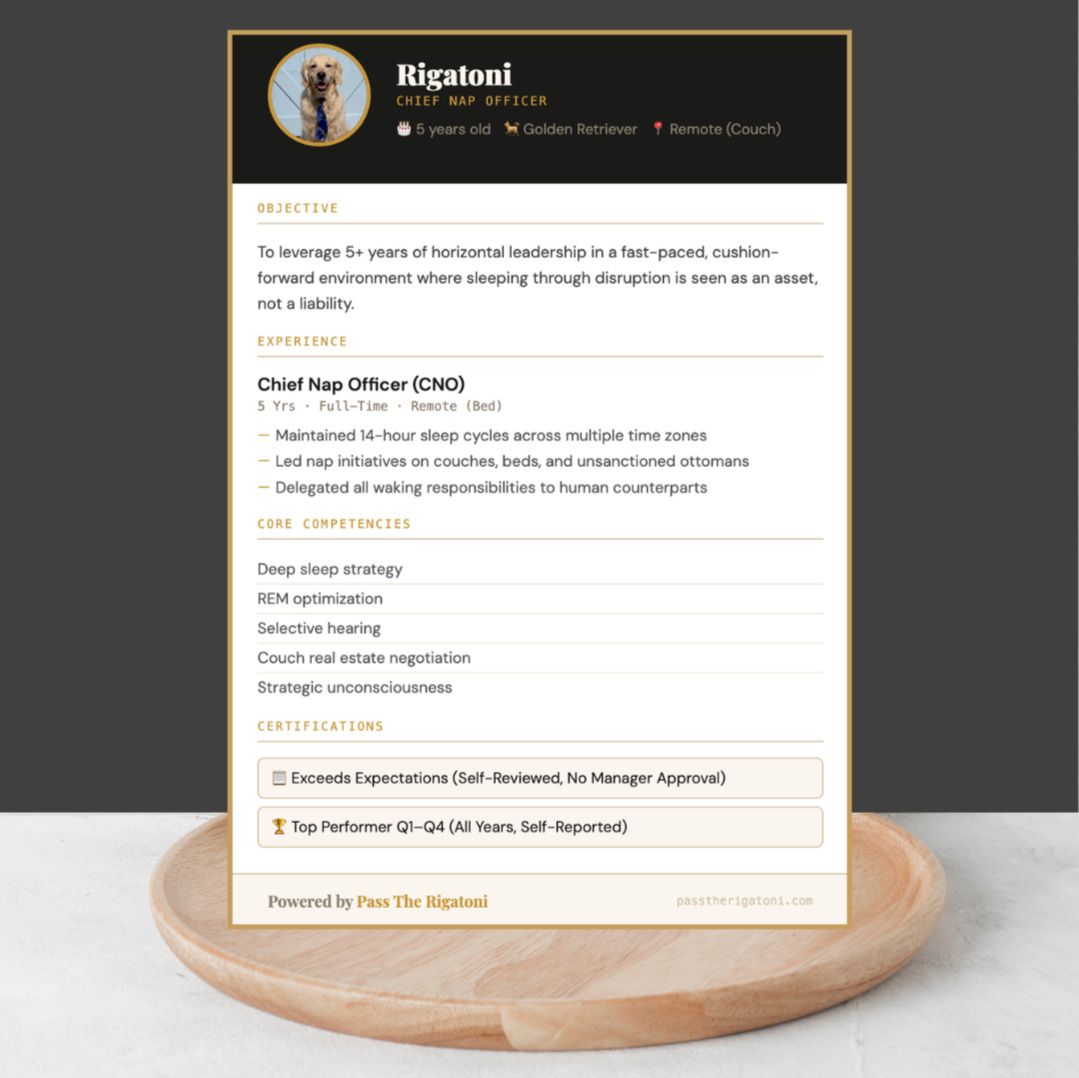 Mock resume for a dog styled as Chief Nap Officer