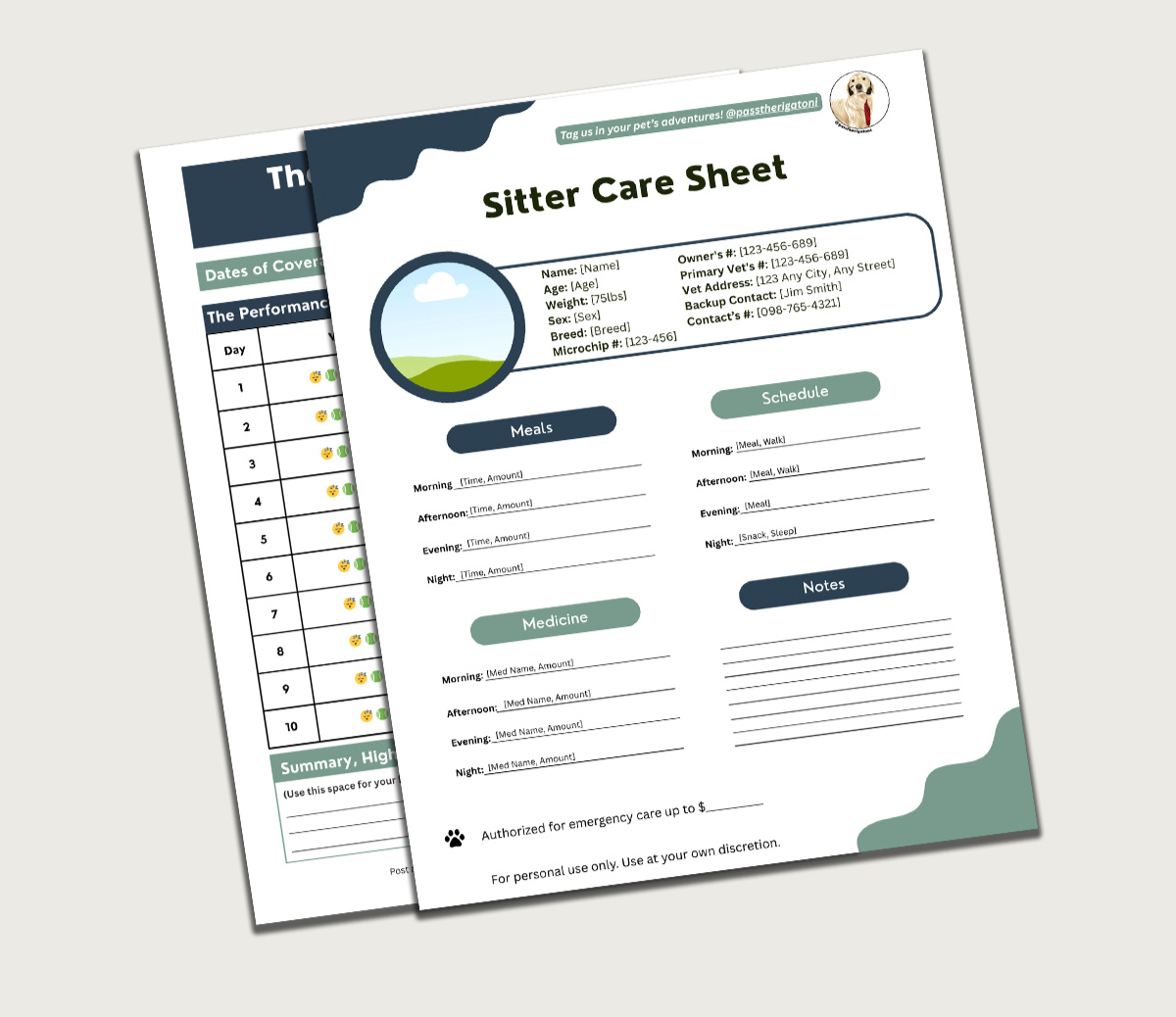 Sitter care sheet template mockup